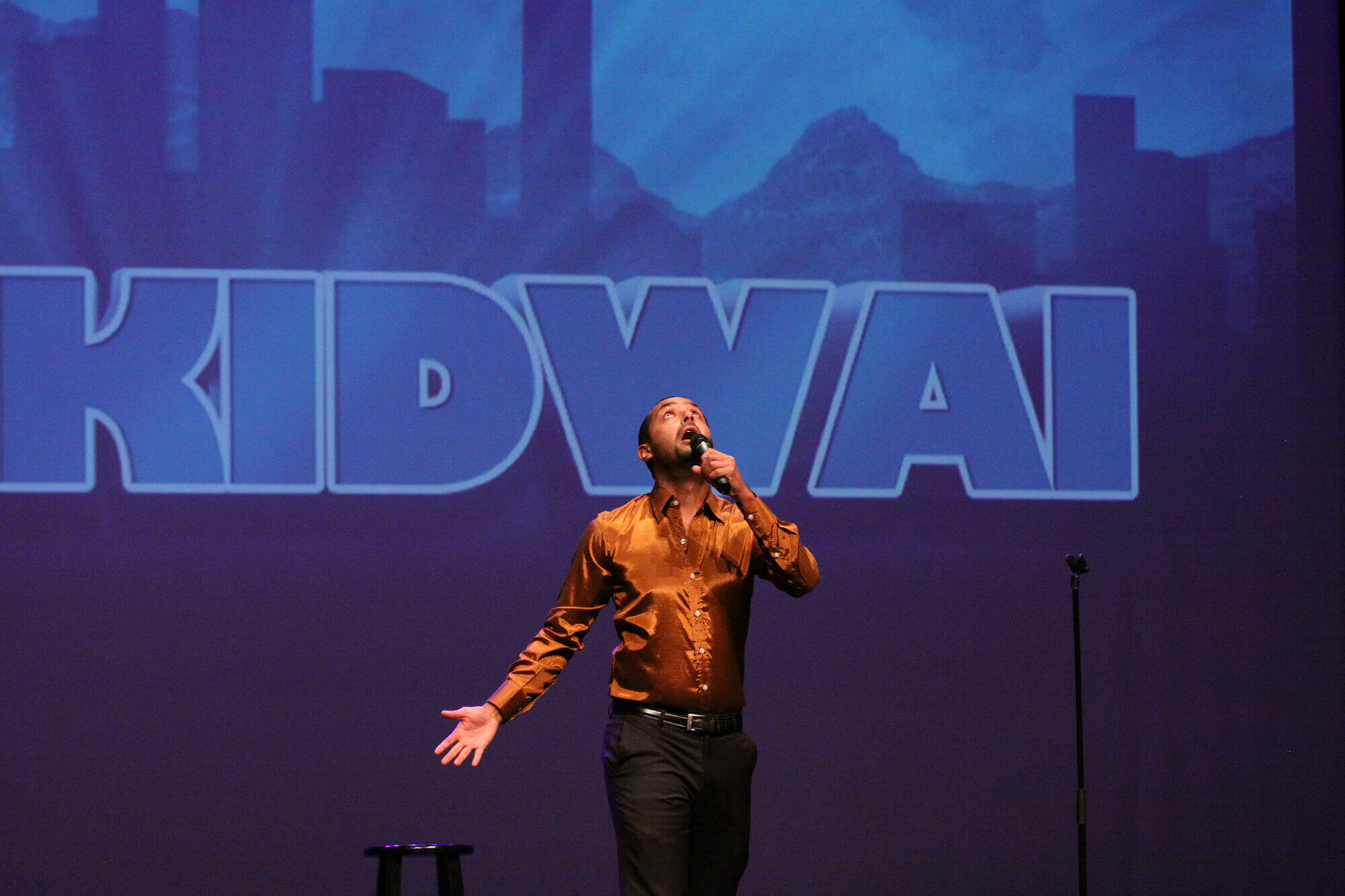 Noor Kidwai Stand-Up Comedian